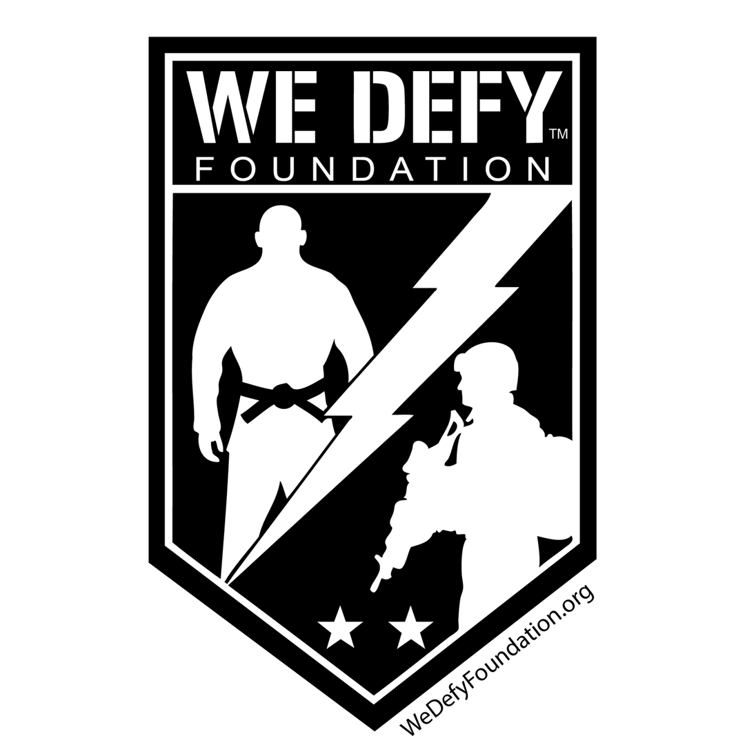 We Defy Warships Series: Battleship Iowa - logo